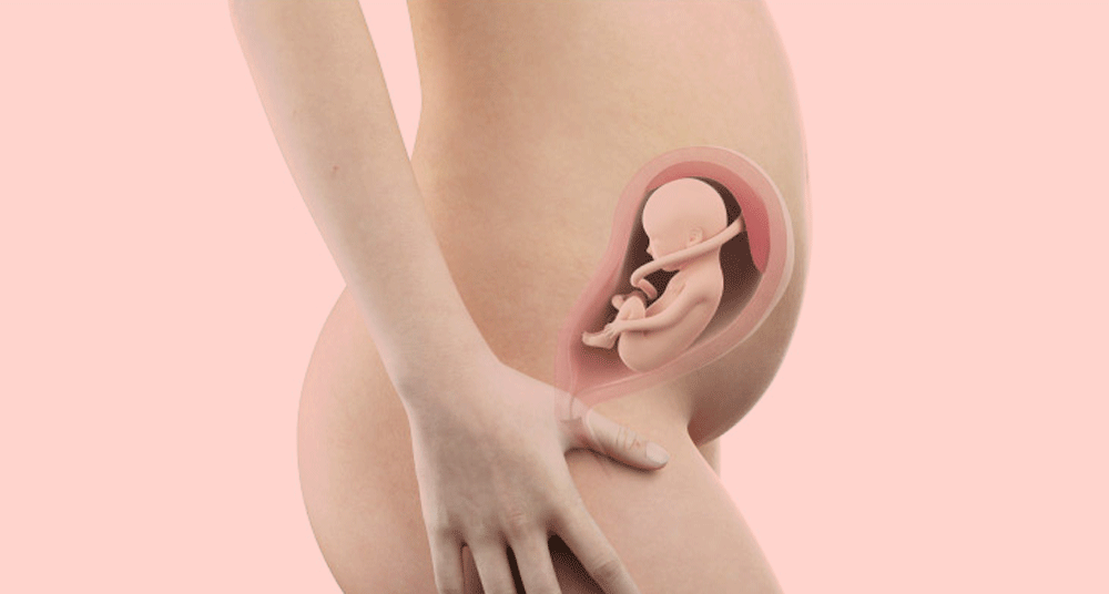 עובר בשבוע 26 להריון, באדיבות אתר iaso.gr