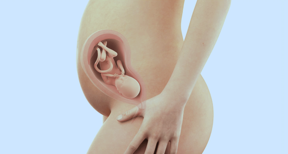 עובר בשבוע 28 להריון, באדיבות אתר iaso.gr