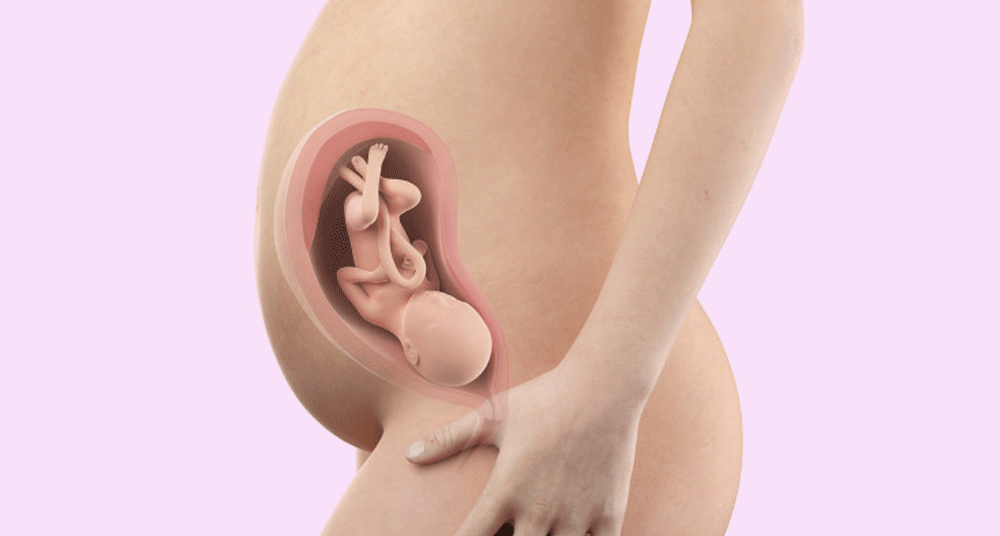 עובר בשבוע 30 להריון, באדיבות אתר iaso.gr