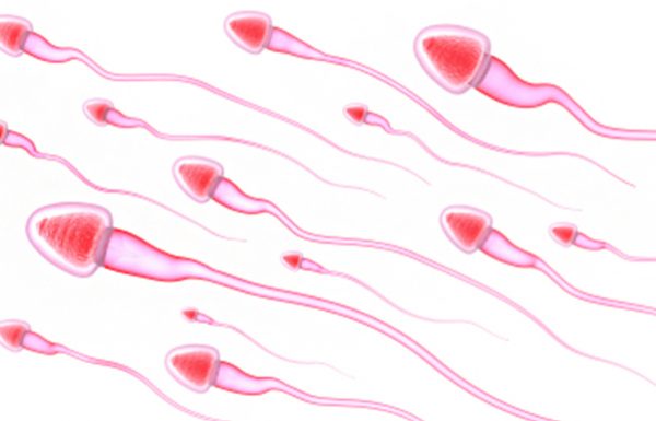 על אחוזי ההצלחה הנמוכים בהפריות