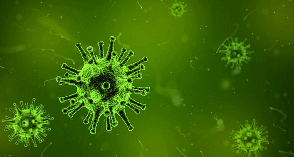 אילוסטרציה של וירוס. באדיבות pixabay.com